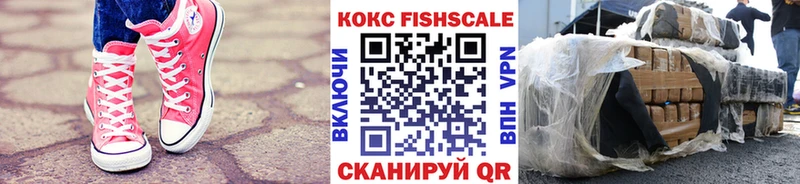Cocaine Fish Scale  MEGA   Дагестанские Огни 