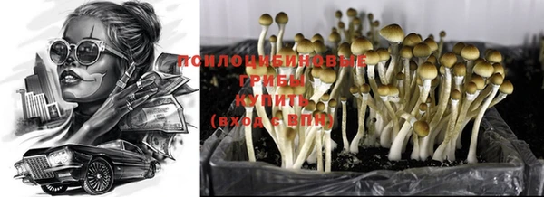 мяу мяу мука Волоколамск